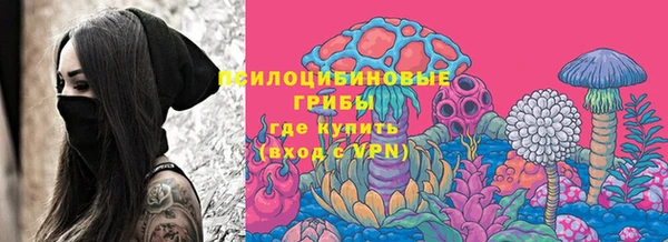 молекула духа Алзамай