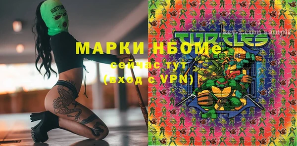 мет Алексин