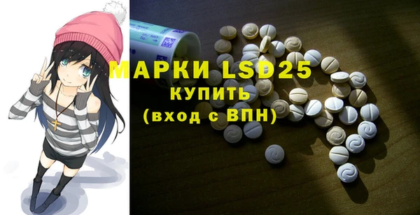 мет Алексин