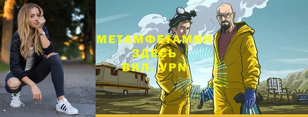 мет Алексин