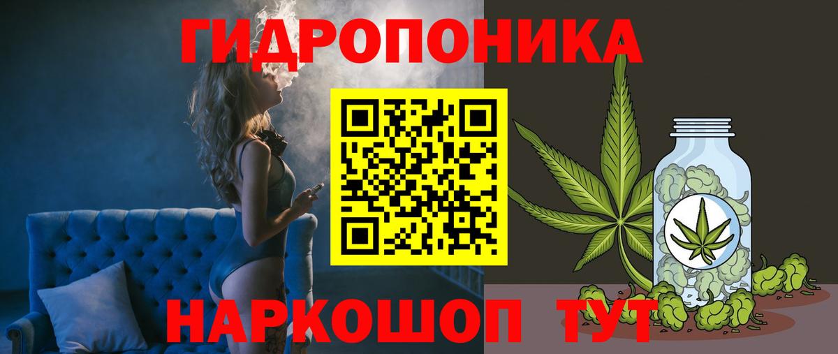 Конопля AK-47  Канабис план  Лабытнанги  Вход с VPN  Каннабис THC 21%  Конопля гибрид 
